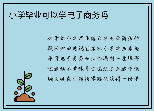 小学毕业可以学电子商务吗